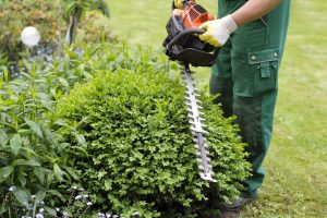 Gartenpflege in Hamburg Hausmeisterdienst und Gartenpflege